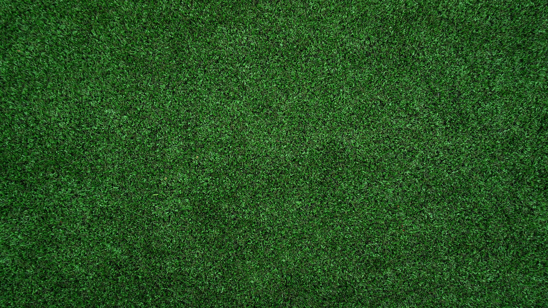 does artificial turf add value to home