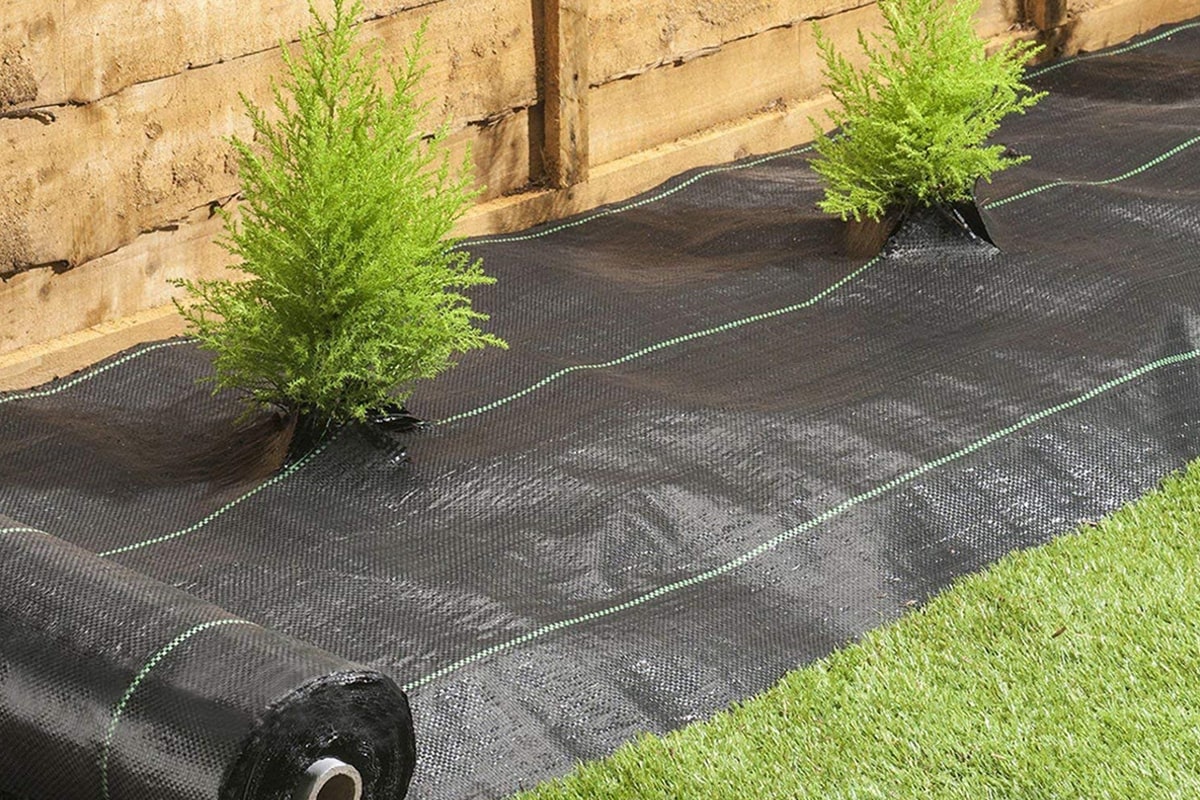 cheap ways to cover dirt in backyard