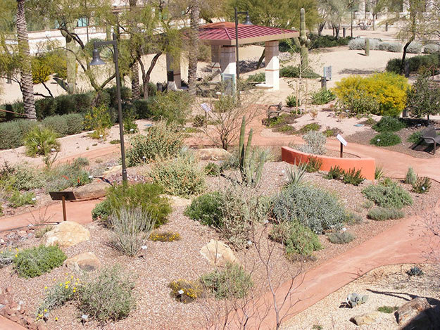 commercial-landscaping-el-paso-tx-2