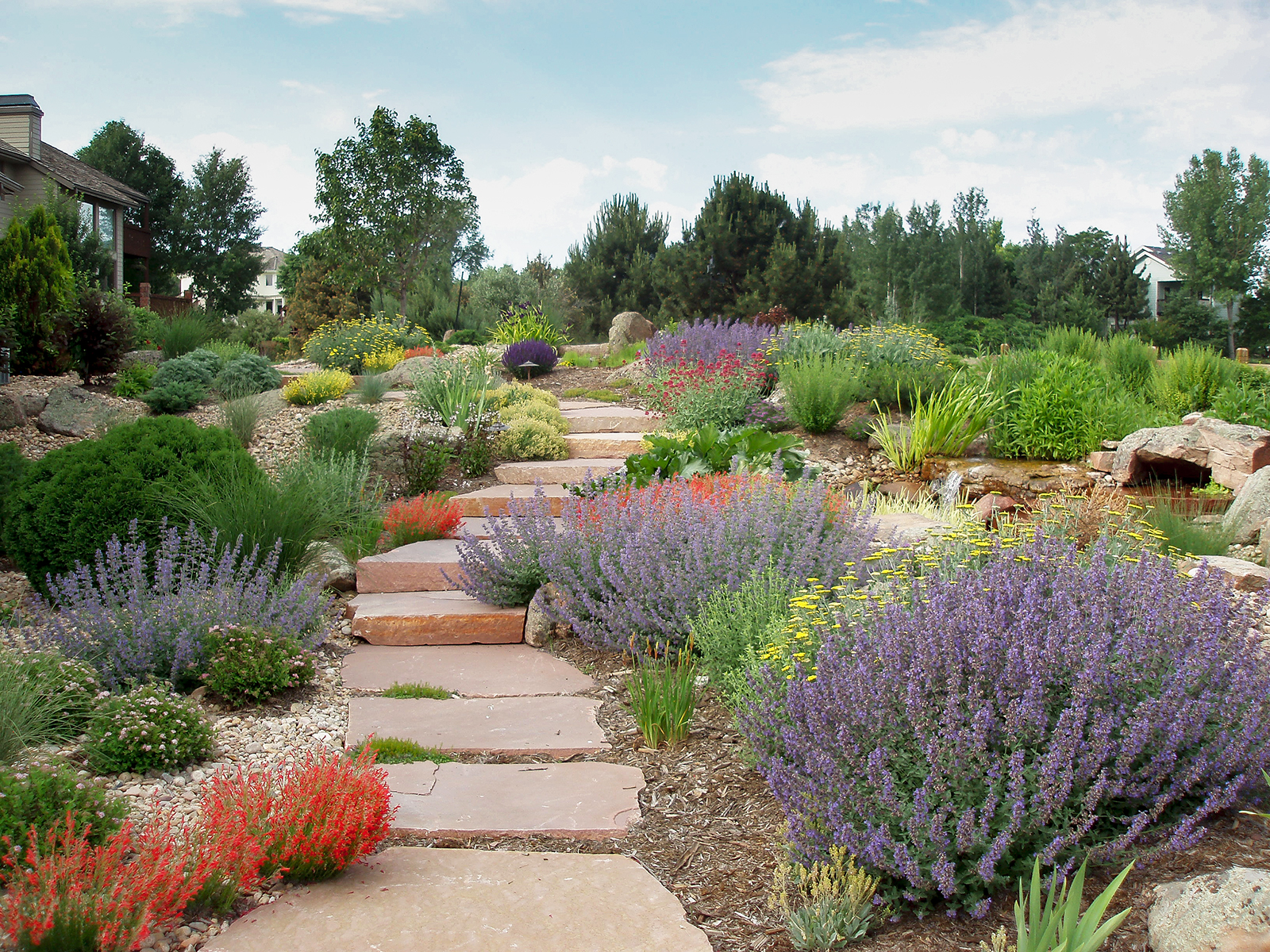 desert-xeriscape-6