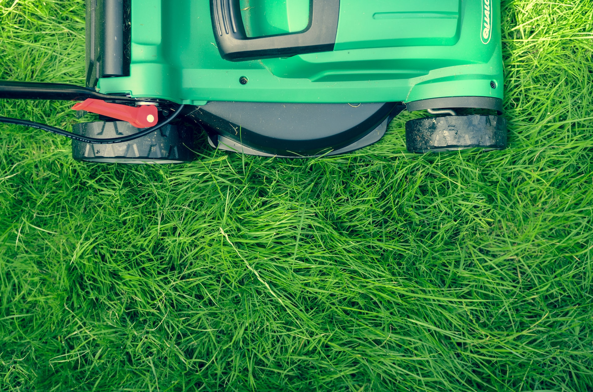 pet turf vs regular turf