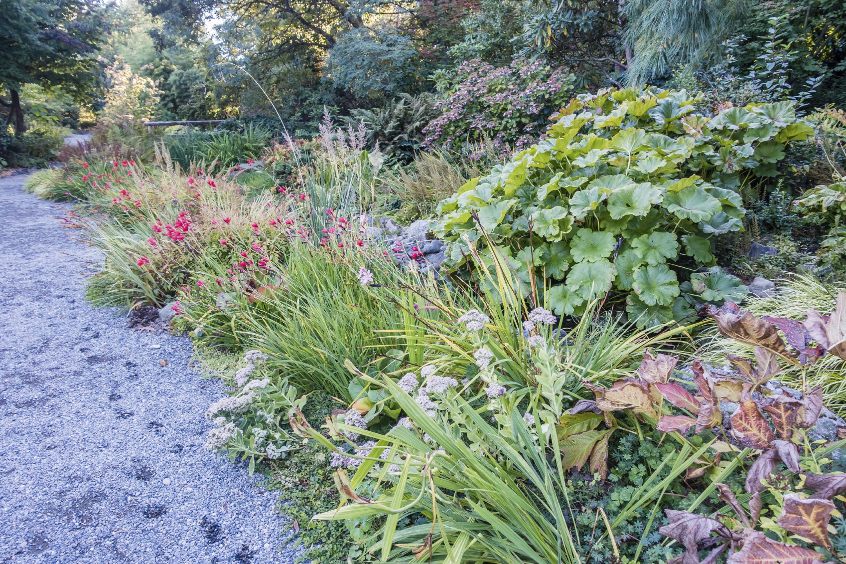 zone 8a landscaping ideas
